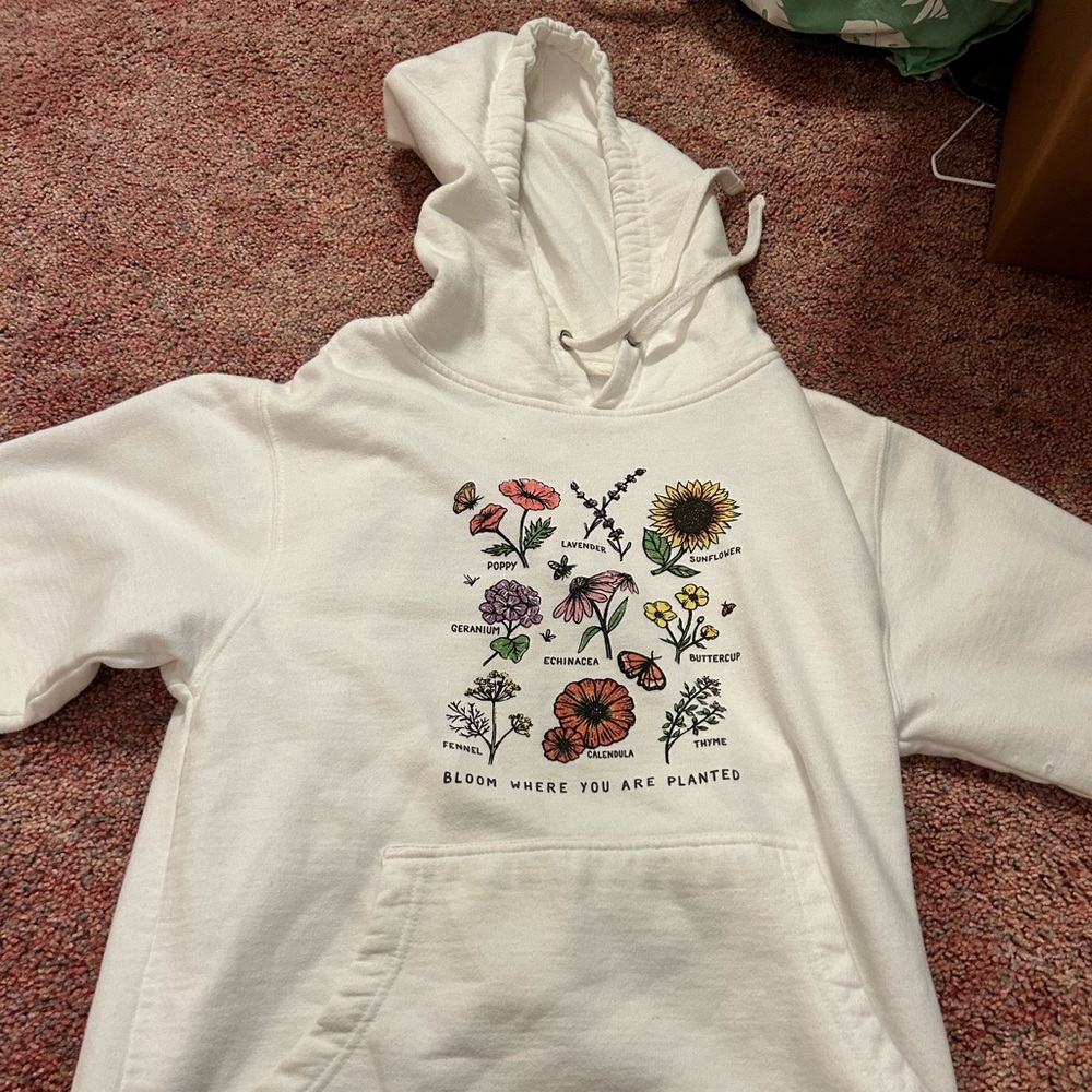Wholesome culture hoodie size small